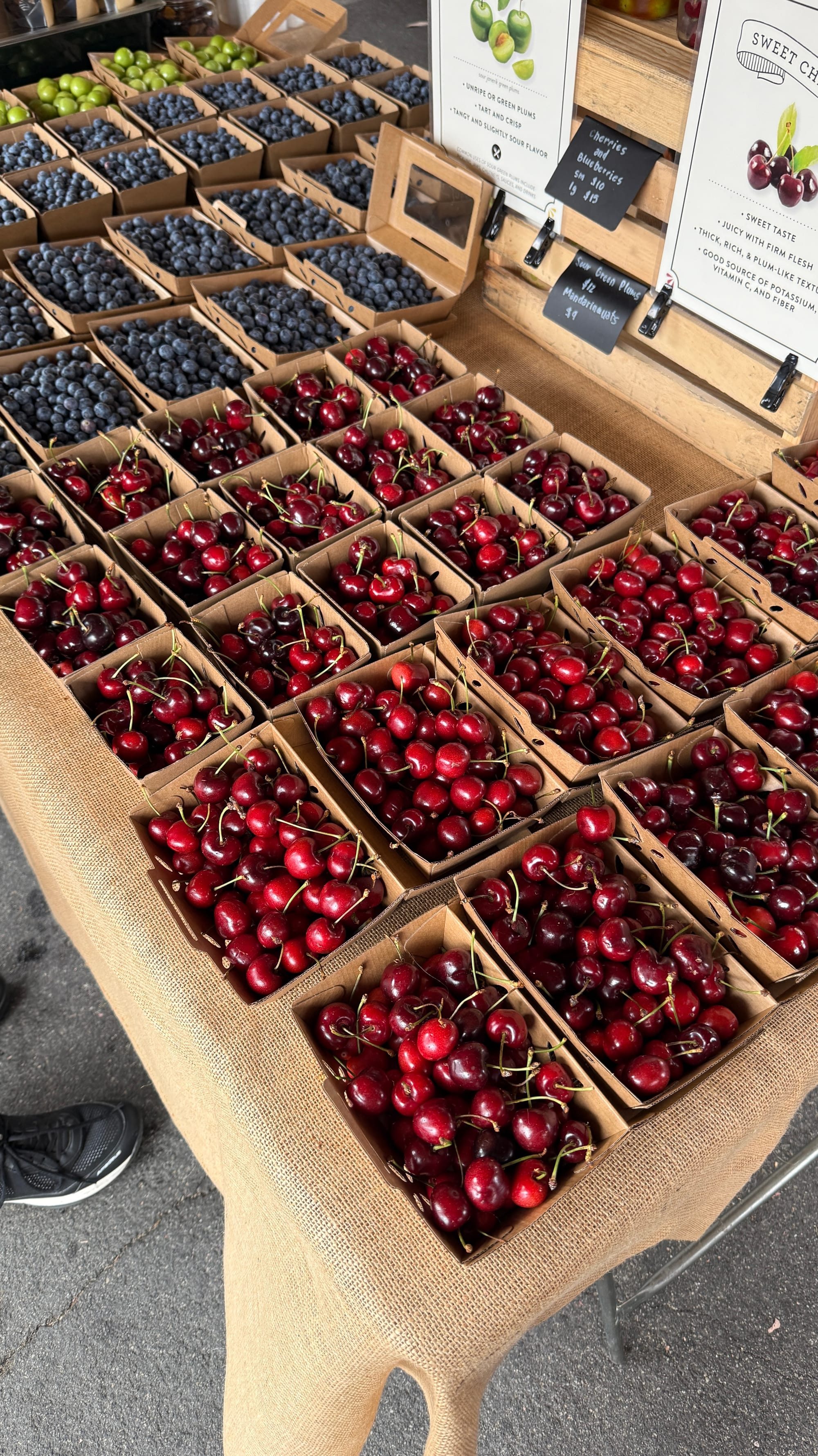 Orange County Mini Guide